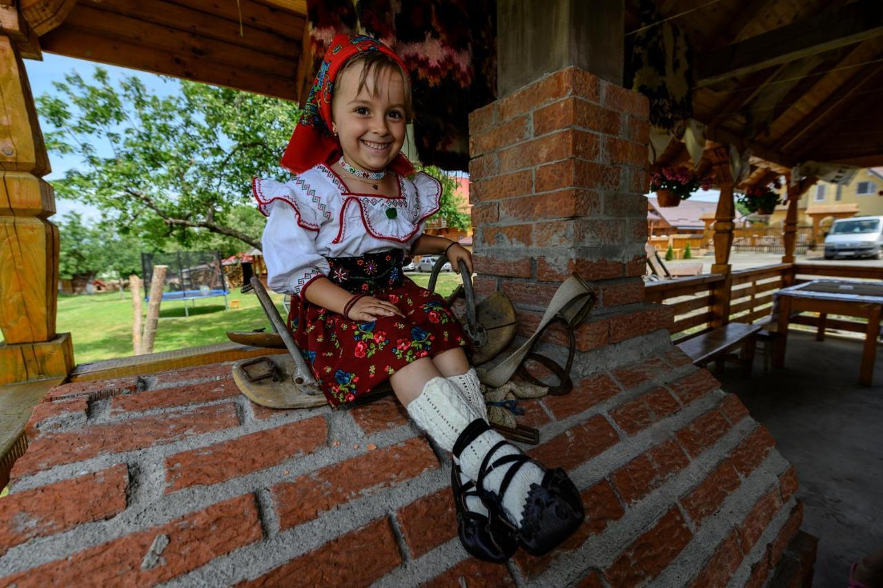 Pensiune Agroturistica "Casa Teodora" Budesti  ภายนอก รูปภาพ