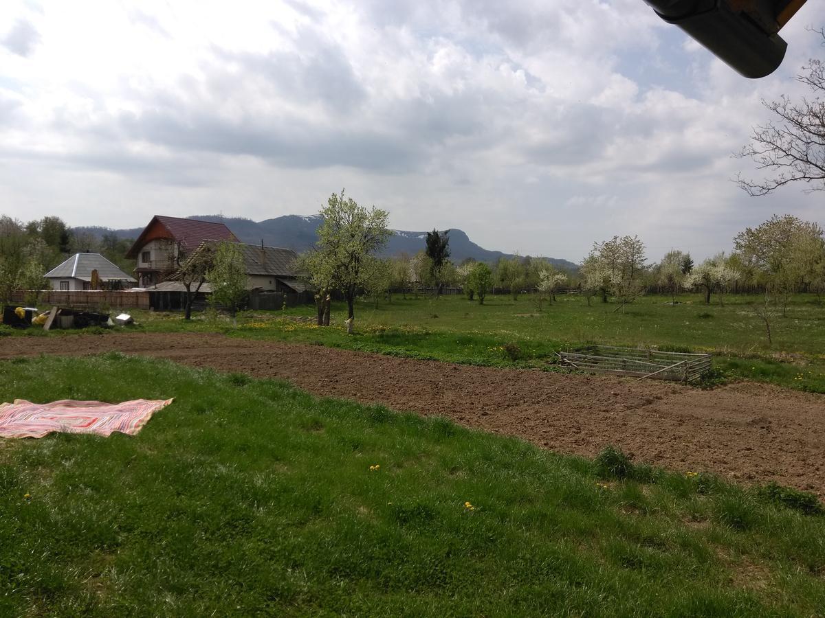 Pensiune Agroturistica "Casa Teodora" Budesti  ภายนอก รูปภาพ