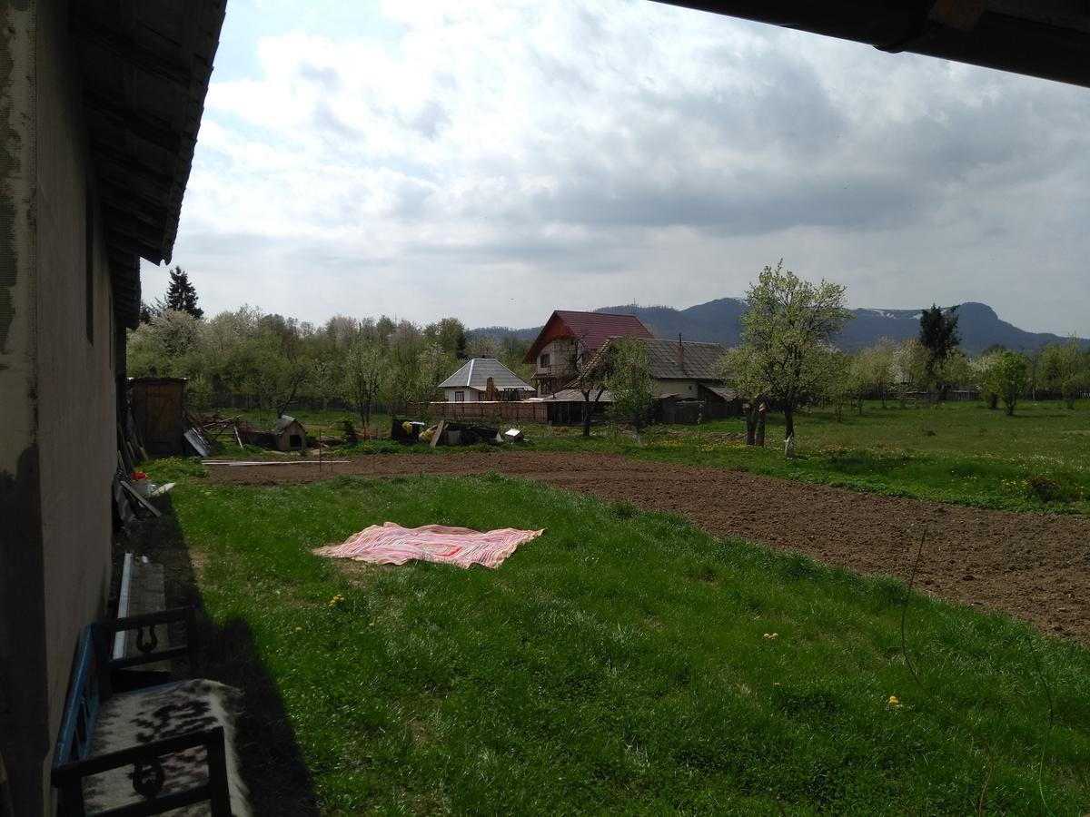 Pensiune Agroturistica "Casa Teodora" Budesti  ภายนอก รูปภาพ
