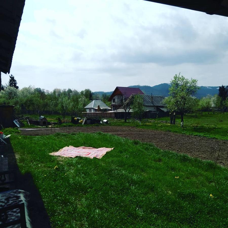 Pensiune Agroturistica "Casa Teodora" Budesti  ภายนอก รูปภาพ