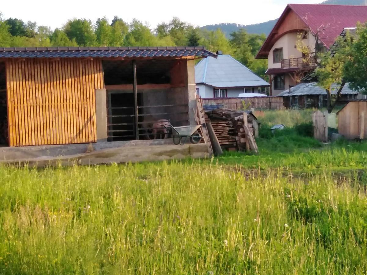 Pensiune Agroturistica "Casa Teodora" Budesti  ภายนอก รูปภาพ